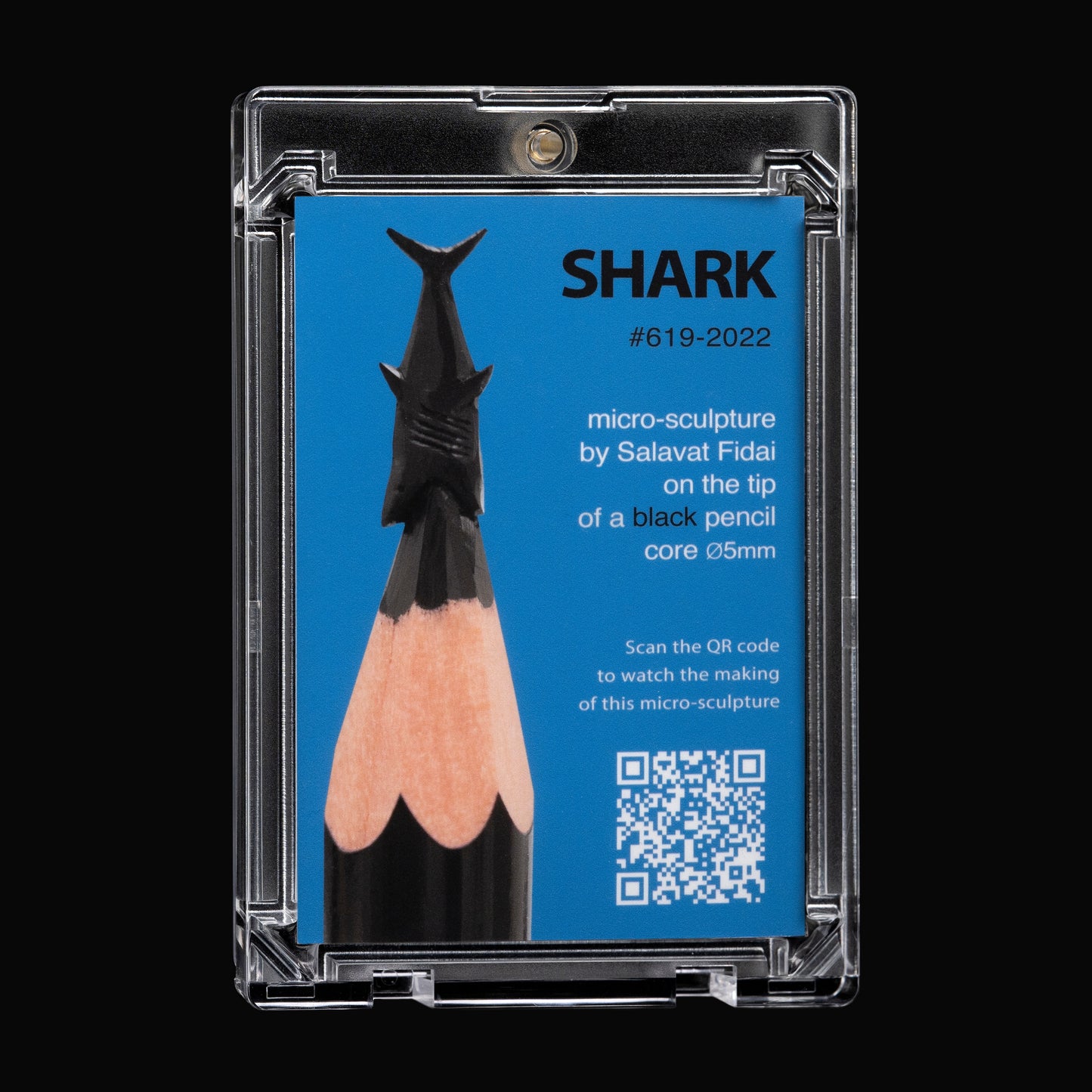 SHARK
