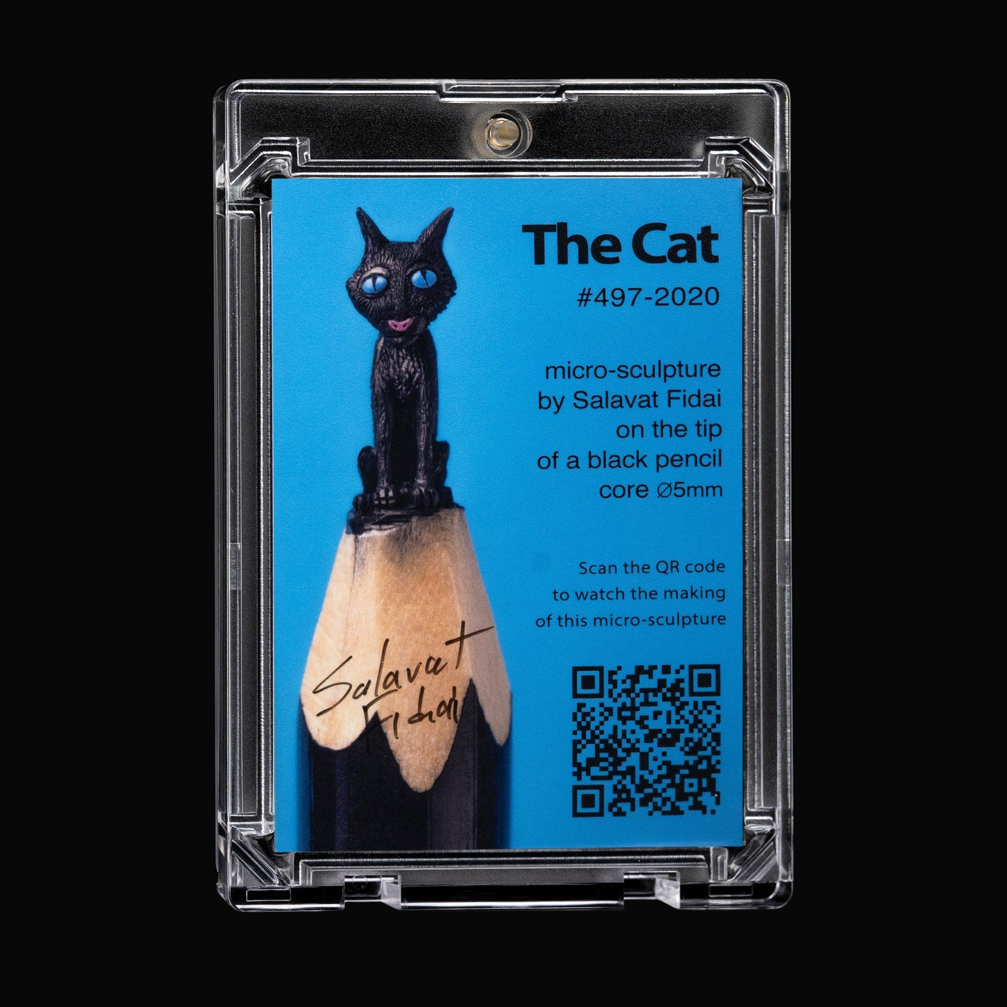 The Cat