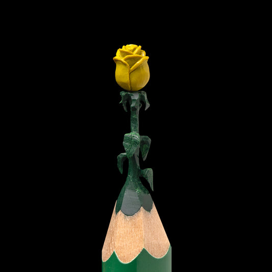Yellow Rose