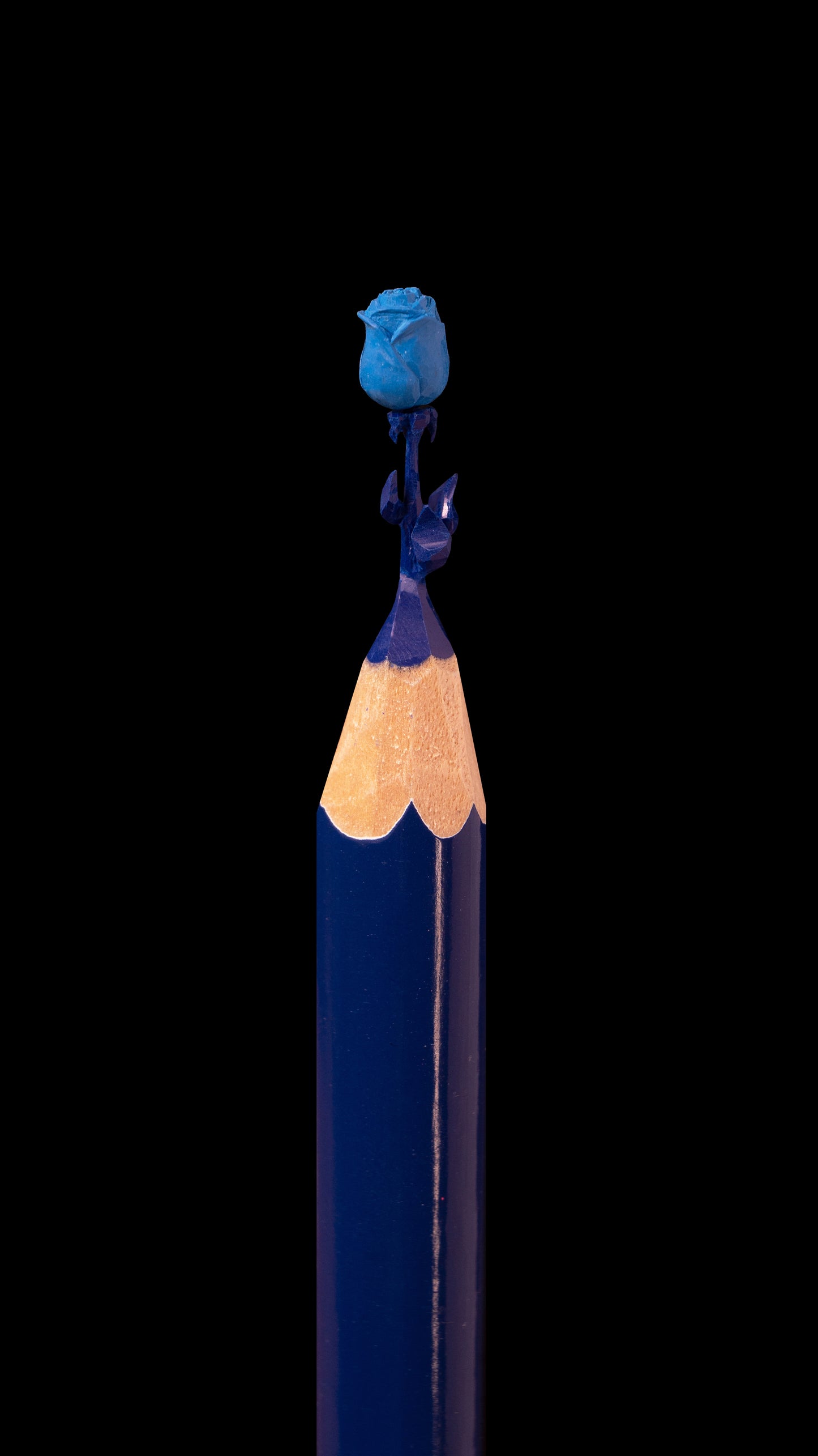 Blue Rose