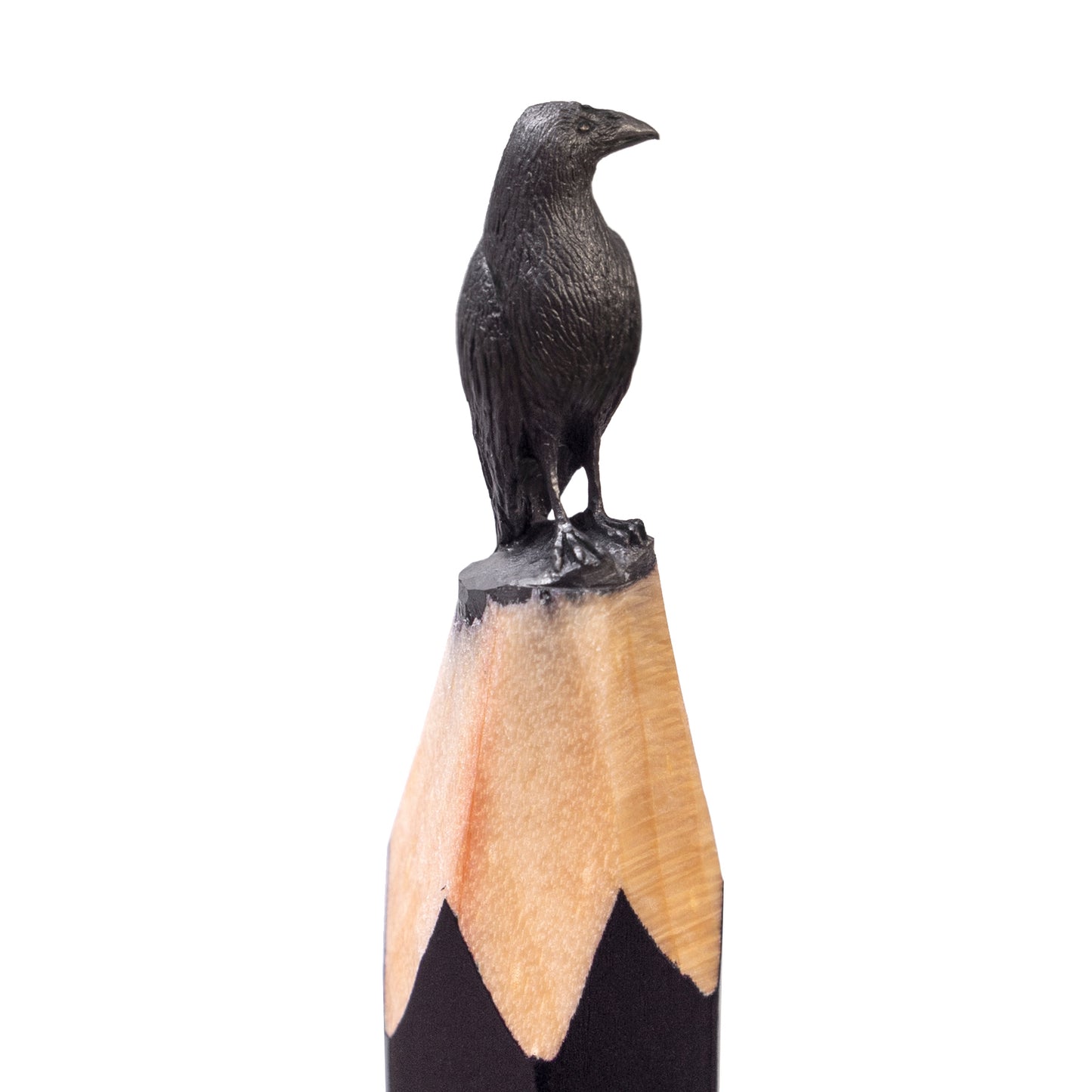 The Raven Night Watch Sigil