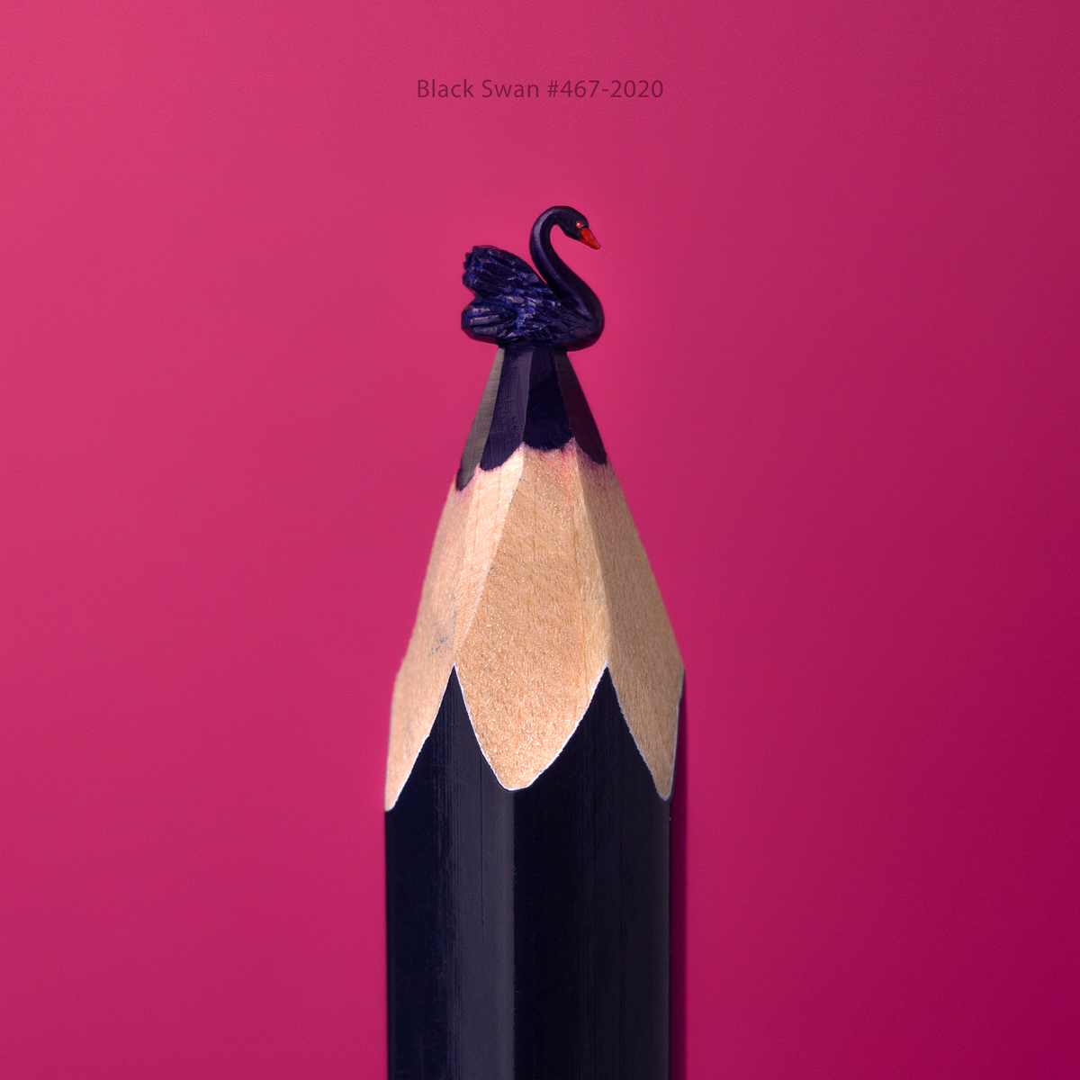 Black Swan