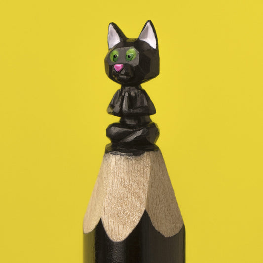 Yoga-Cat