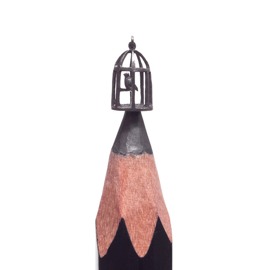 Bird in a Cage