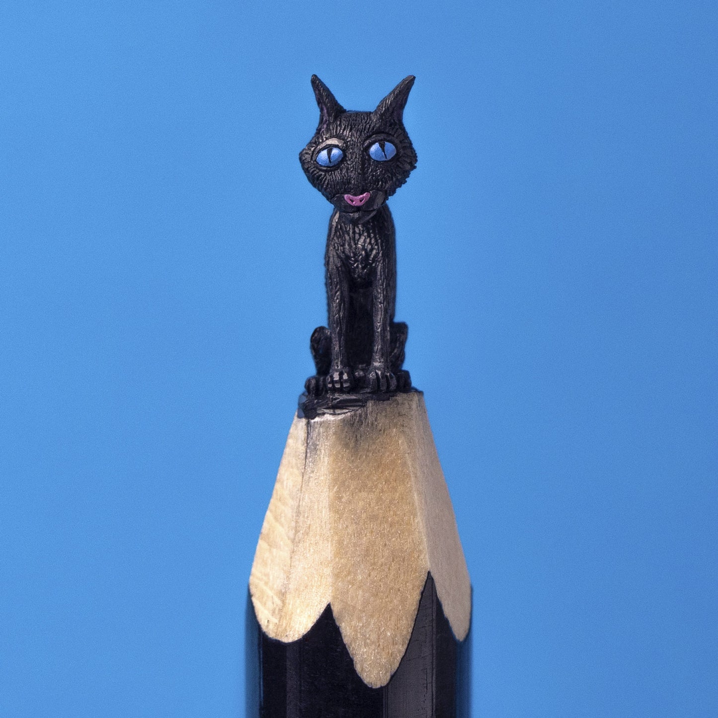 The Cat